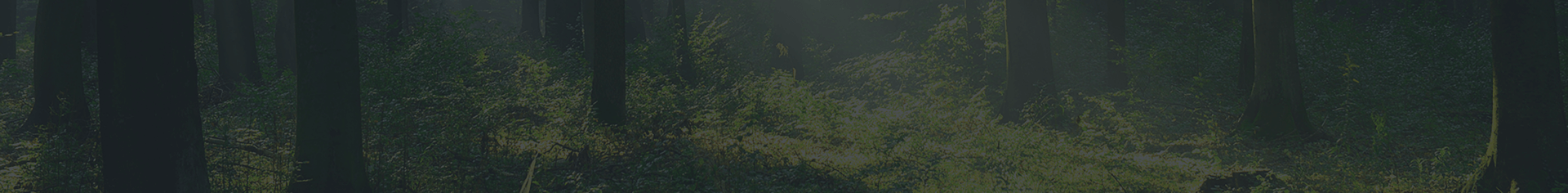 君子簽全周期一站式智能合同平臺(tái)